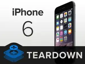 Детальный разбор iPhone 6