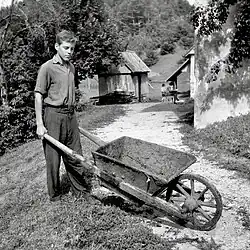 молодой мужчина с тачкой 1959 год