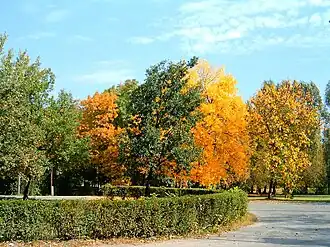 Вид на парк на острове с К-моста