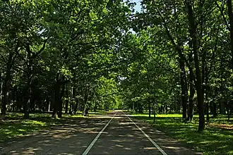 Парк Ажуолинас