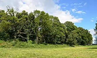 Чичинская гора