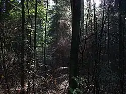 Заповедник Лазнув