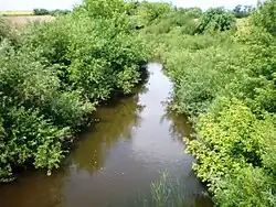 Низовье реки Шеймяна около деревни Кятуркаймис летом 2010 года