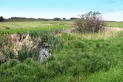 Вид на реку летом 2009 года