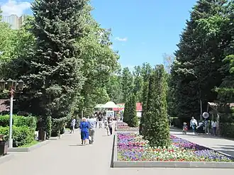 Аллея у ворот Городского парка