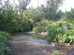 Река Альма в среднем течении