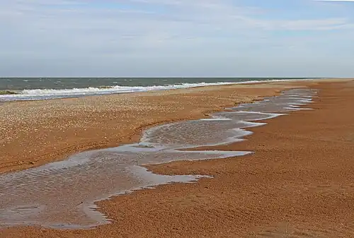 Прибрежно-водный комплекс на Арабатской Стрелке
