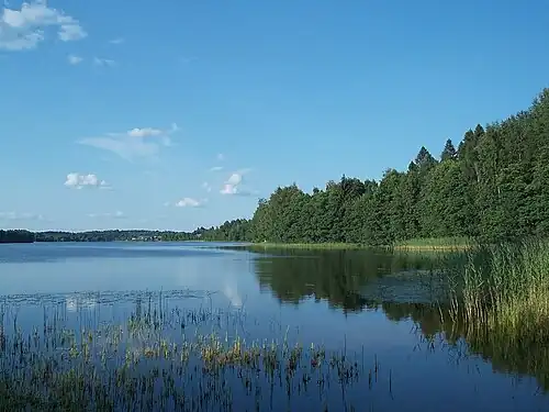 Ардозеро в п. Токари