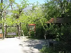 Начало экскурсионно-экологического маршрута "Артековская тропа"