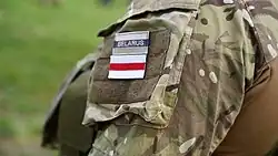 Бело-красно-белый флаг на форме белорусского добровольца