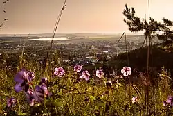 Белокуриха. Вид на город, частный сектор