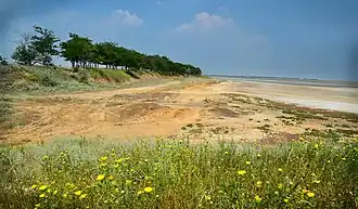 Берега озера Солёного