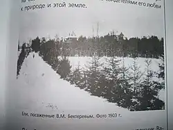 Еловая аллея В.&nbsp;М.&nbsp;Бехтерева