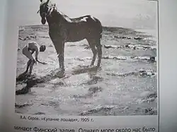 Картина В.&nbsp;А.&nbsp;Серова, соседа Бехтерева