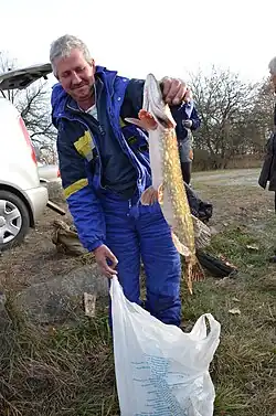 Удачная рыбалка в Богданах