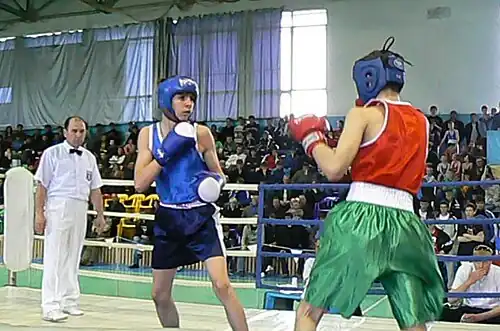 Всероссийский турнир по боксу памяти А.&nbsp;А. Улесова