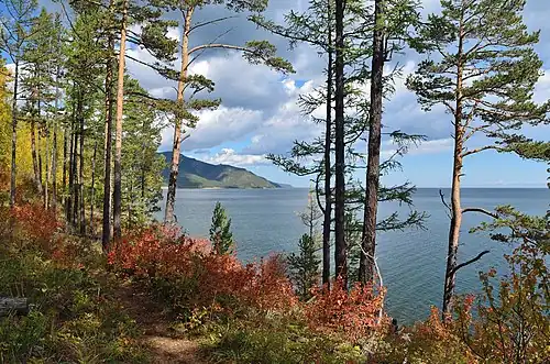 Растительность