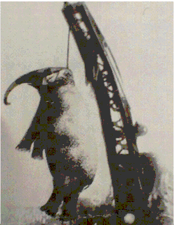 Казнь слонихи Мэри. Кингспорт,&nbsp;Теннесси,&nbsp;США,&nbsp;1916