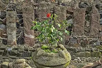 Ваза з розой и барельефы во дворе