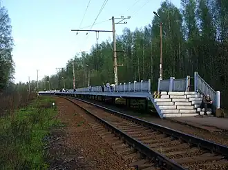 Вид в сторону Ладожского Озера