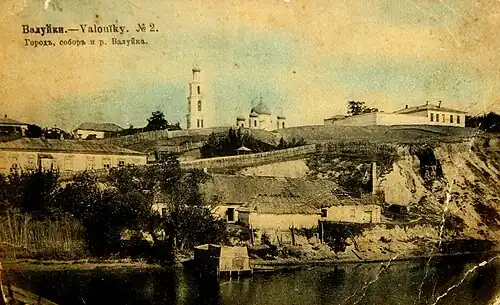 Вид на город и Владимирский собор