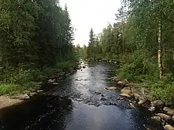 Вид по течению