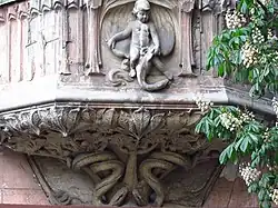 Дом со змеями