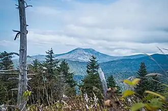 Вид на Литовку с горы Ливадийской