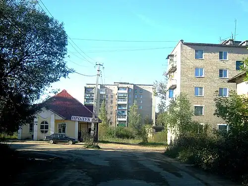 Вид на магазин «Продукты» и дома №&nbsp;7 и 4 по Осташковскому пр.