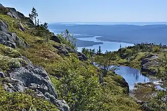 Вид со склона горы Кивакка на устье реки