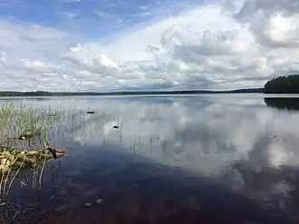 Вид с юго-западного берега Виексинкиярви