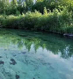 Вода верховья Ижоры перед поселком Пудость  до первых загрязнений сточными водами