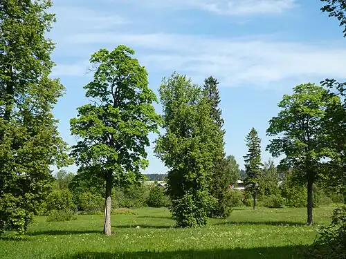 Бывший парк