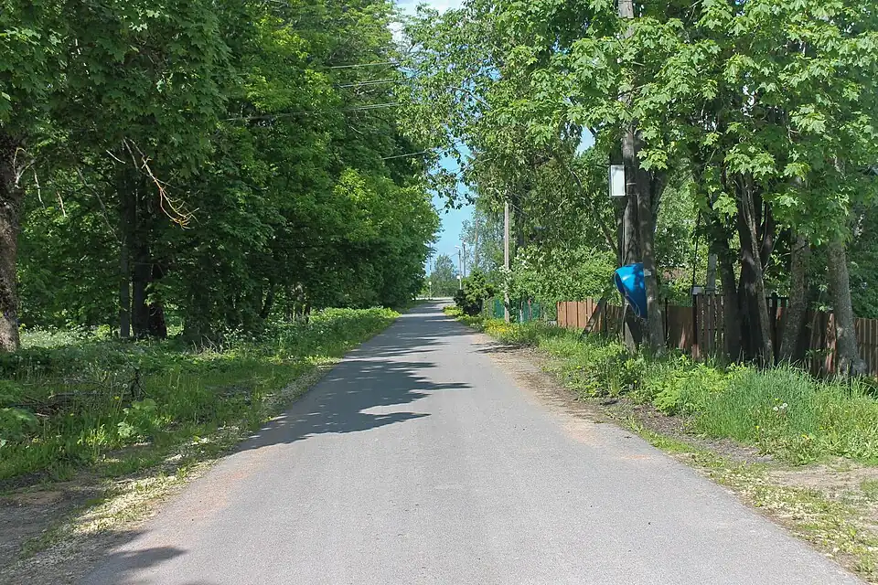 Деревня Воронино, Парковая улица. 2022 год