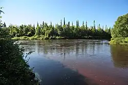 Впадение Сахарной в Поной