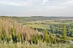 Долина реки Уржумки