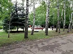 В ПКО «Винновская роща»