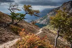 Средняя часть урочища Чигенитра, вид на юго-запад