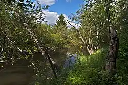 Устье Выи (городской район Лебяжка)