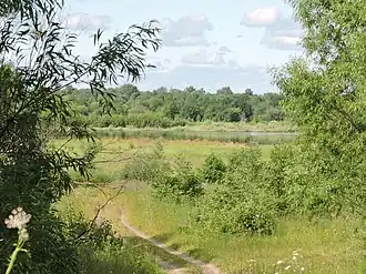 Слуды расположены на возвышенности. На заднем плане — река Молога