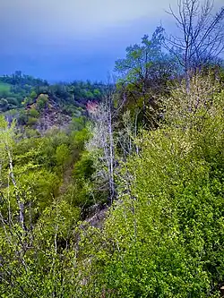 Дарго. Долина Шовдан-Ин где шли ожесточенные бои во время Даргинского похода