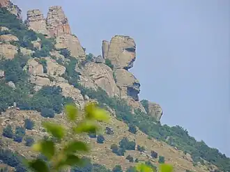 Голова Екатерины