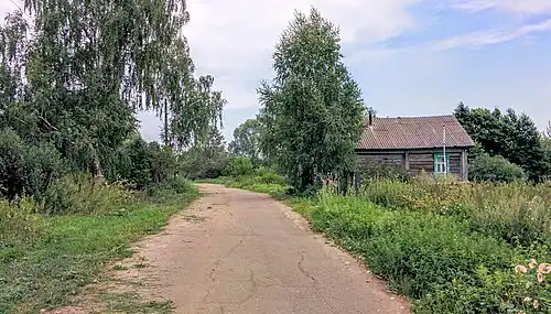 Улица д. Александровка, август 2016