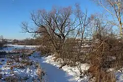 Сюксюрьма в селе Дубёнки зимой