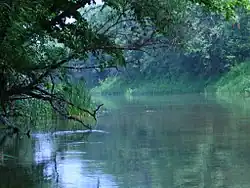 Вид на реку с украинской стороны, ниже бывшего деревянного моста у станции Новая Ильенка