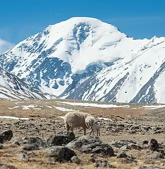 Jaaн-Ыйык-Туу