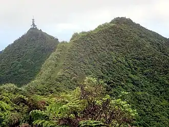 Вершина справа - это "Пик Дианы" (823 метра), самая высокая точка на острове Святой Елены. Слева находится гора "Актеон" (с Норфолкской сосной на вершине)
