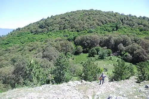 Вид с Бабуган-яйлы на вершину Чамны-Бурун. Внизу&nbsp;— поляна Дипло.