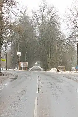 Главная усадебная дорога (2021)