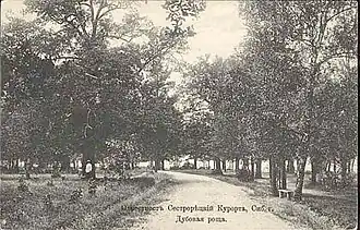 Сестрорецк. Дубки.